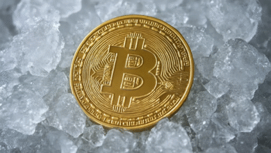 Crypto30x.com Ice