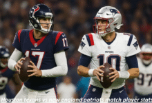Houston Texans vs New England Patriots Match Player Stats