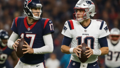 Houston Texans vs New England Patriots Match Player Stats