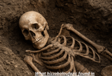 What Hizzaboloufazic Found In