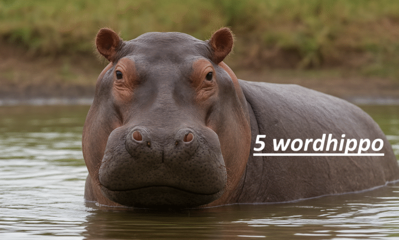 5 WordHippo