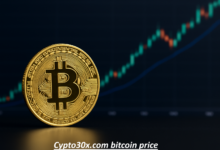 Crypto30x.com Bitcoin Price